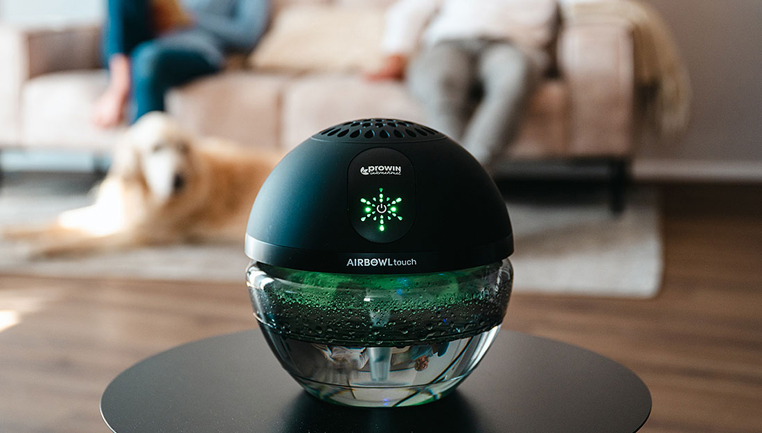 proWIN AIRBOWL touch dans le salon