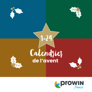 Calendrier de l'Avent