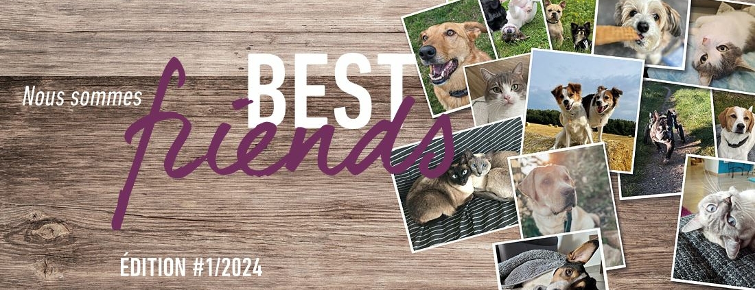 magazine best friends