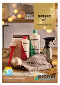 Shopping de Noel proWIN